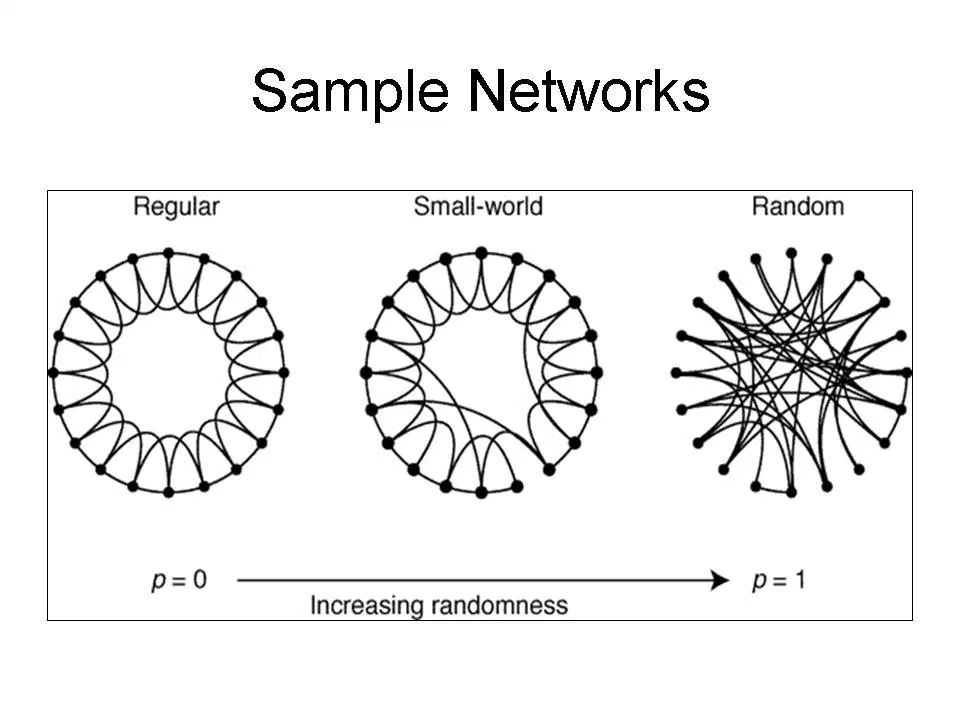 Sample-Networks